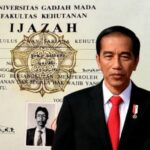 Logopit_1752110026333