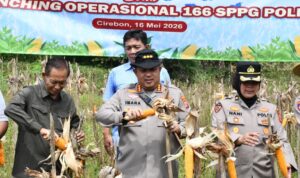 IMG-20260517-WA0034