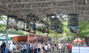 IMG-20260706-WA0011